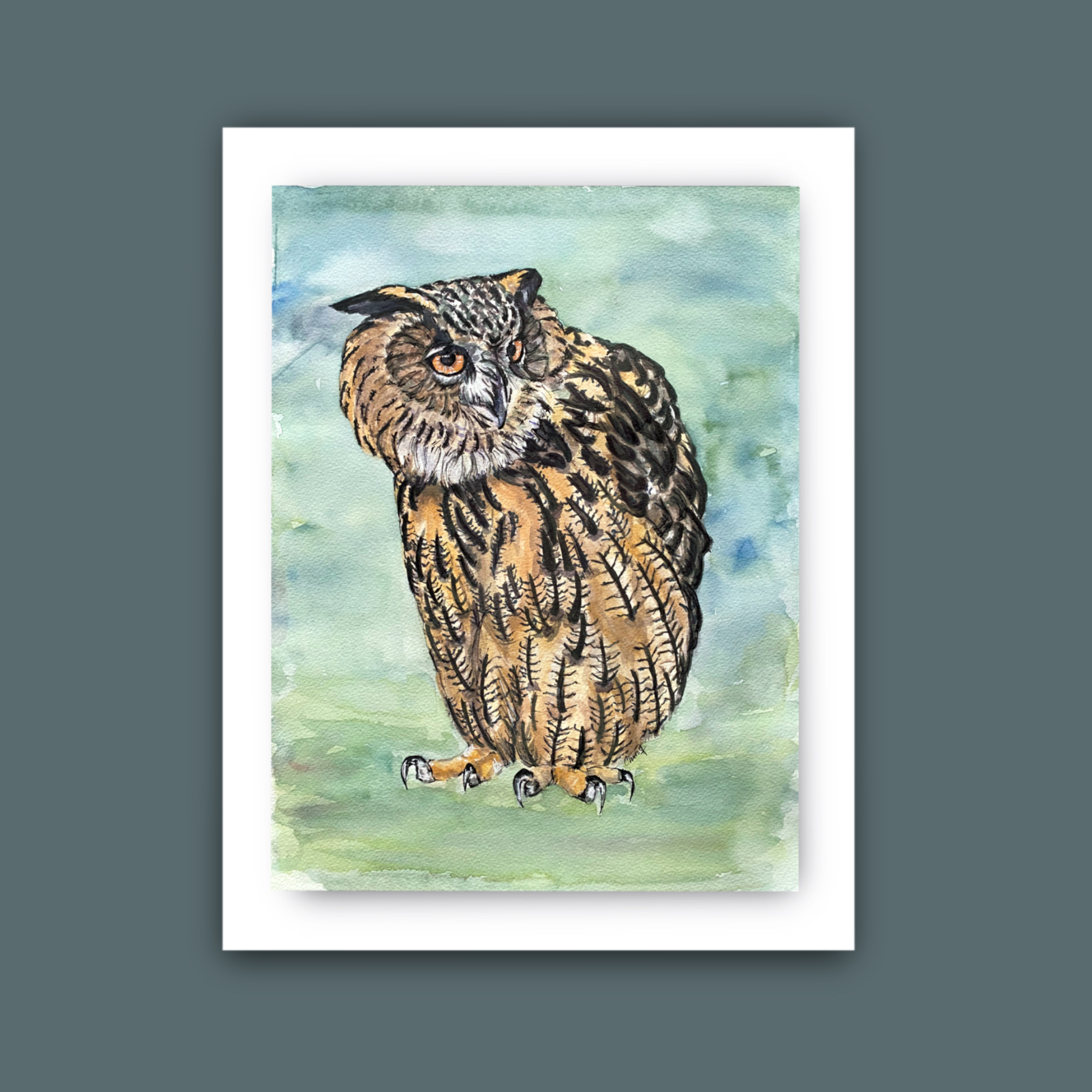 Owl with his head turned to the right. Watercolour and inks on paper.