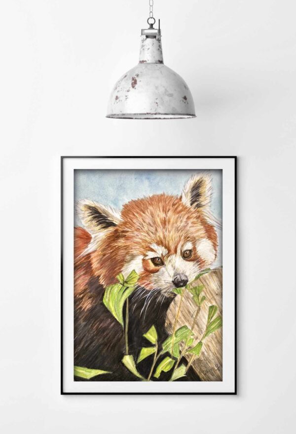 Red Panda Art “Scarlet” Prints - Image 2