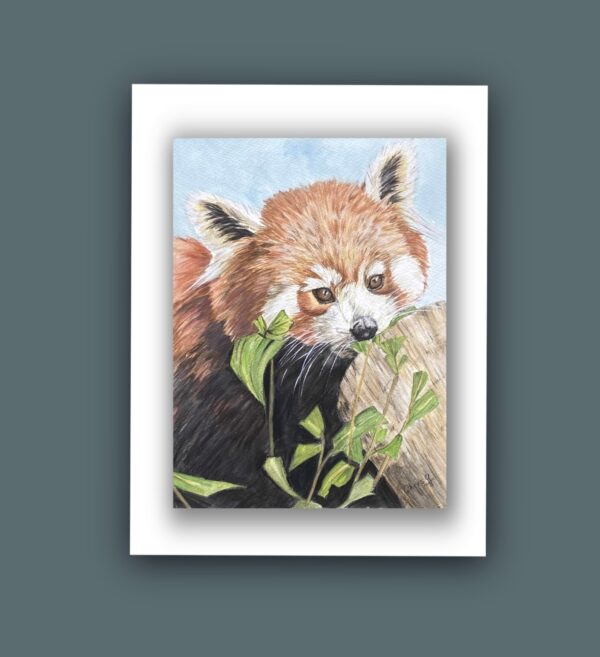 Red Panda Art “Scarlet” Prints