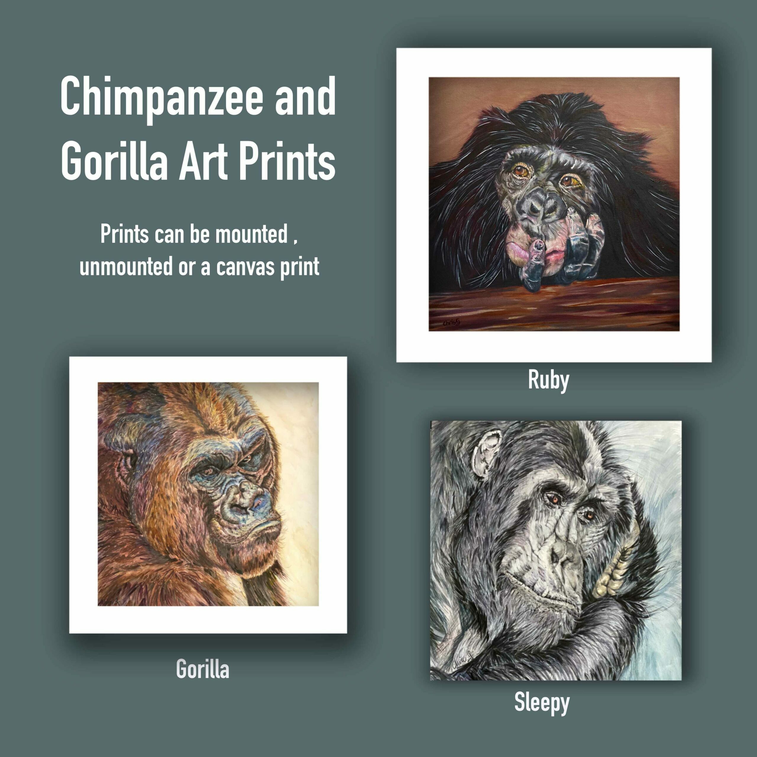 Group of 3 paintings showing them available as prints. Ruby chimp, Gorilla and Sleepy Chimp .